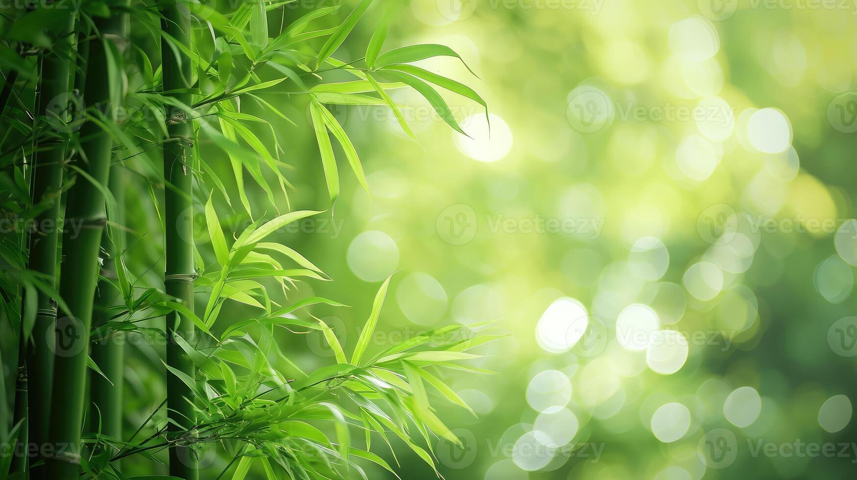 AI generated Bamboo forest and green meadow grass photo