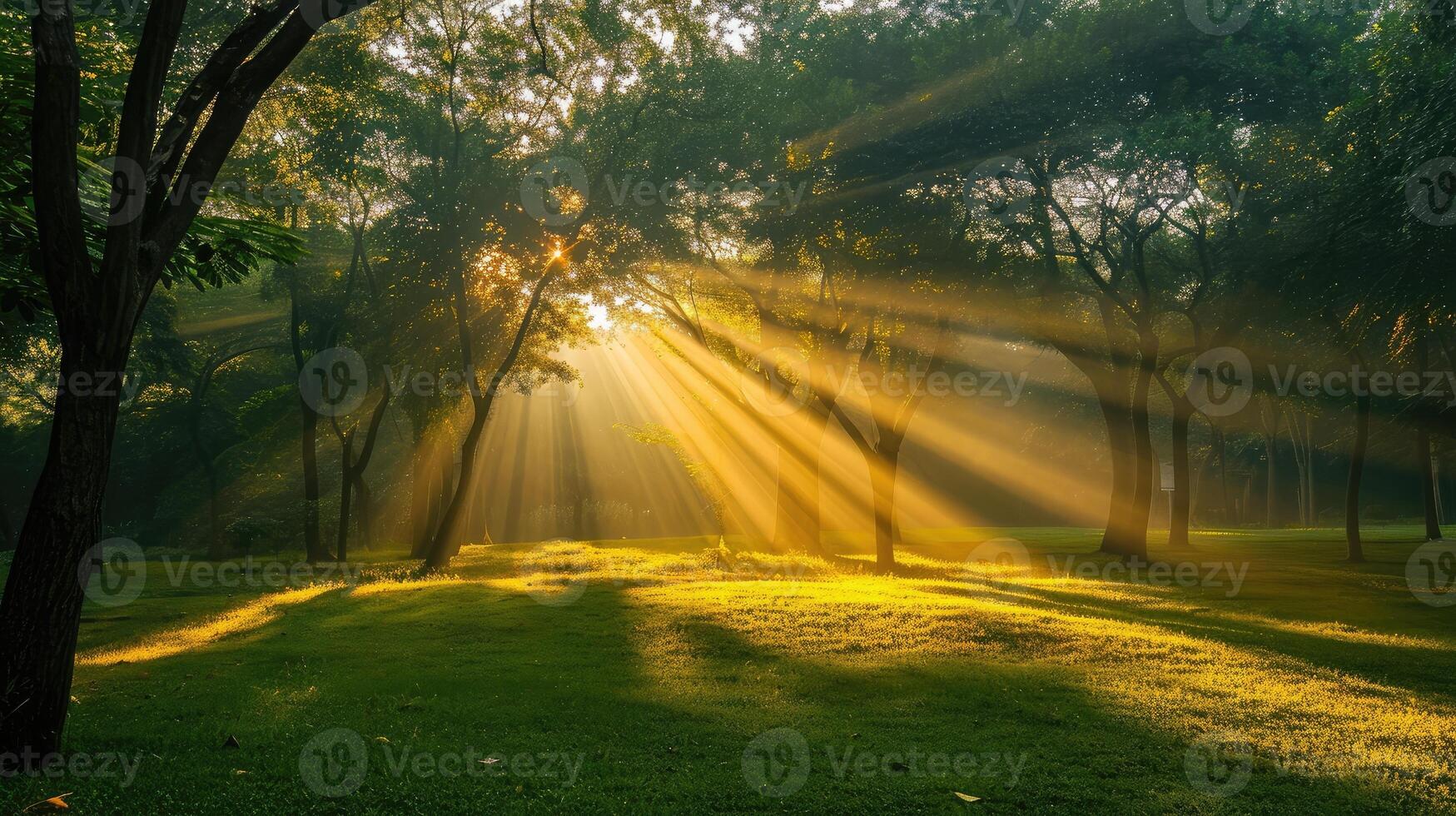 AI generated Sunrise beam in the beautiful park photo