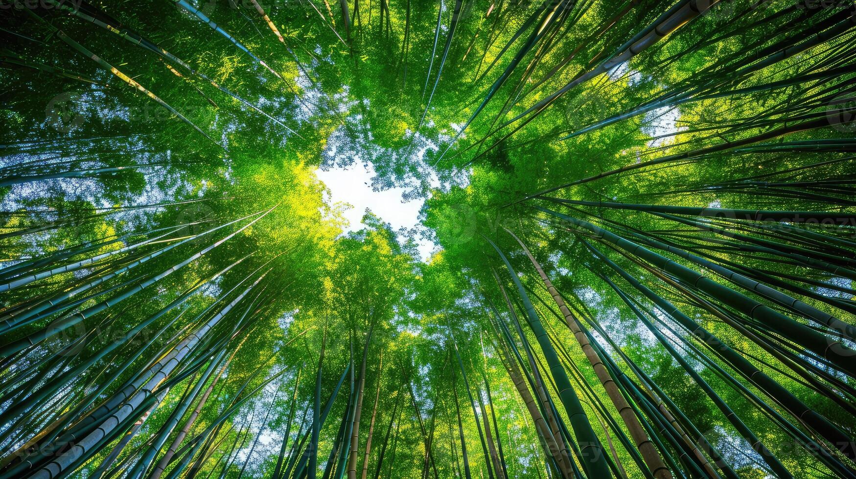 AI generated Low angle view of trees growing in bamboo grove photo