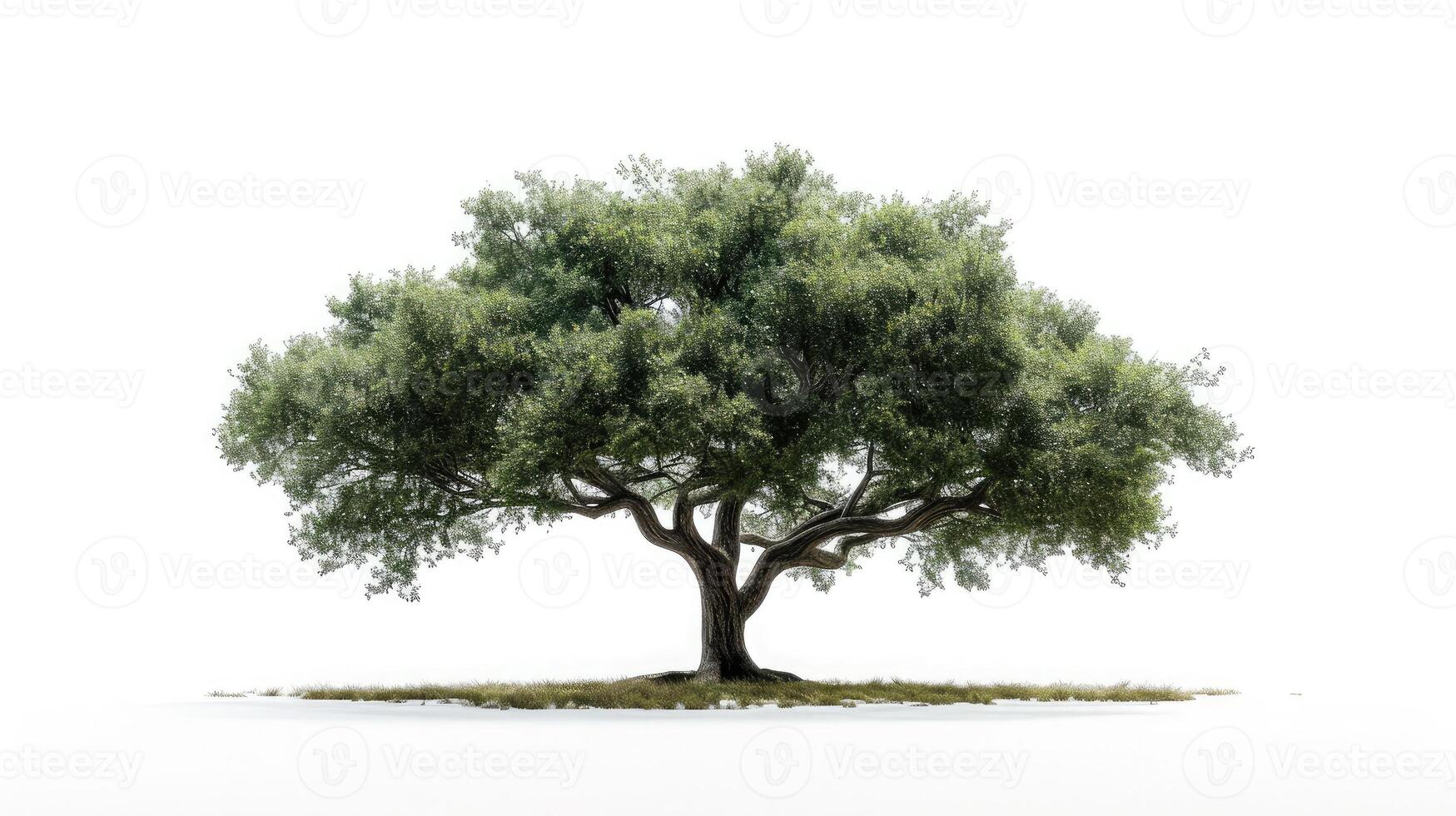 AI generated big tree isolate on white background photo