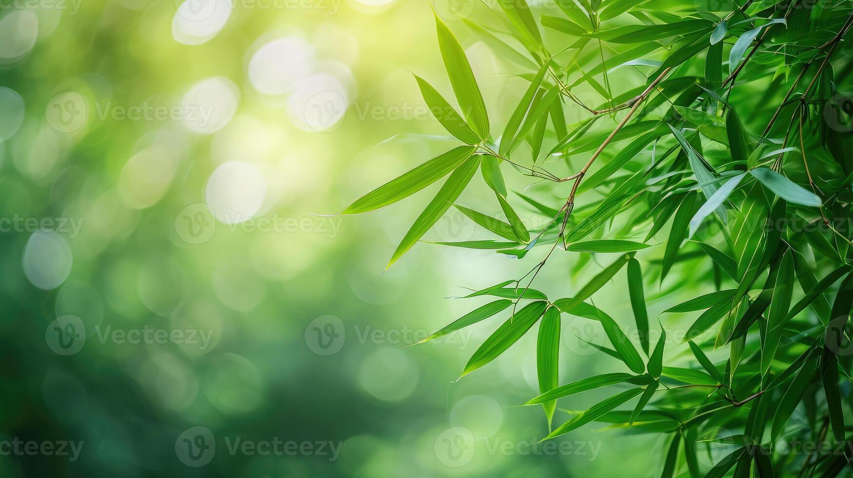 AI generated Nature of green bamboo tree in forest using as background bamboo leaves photo