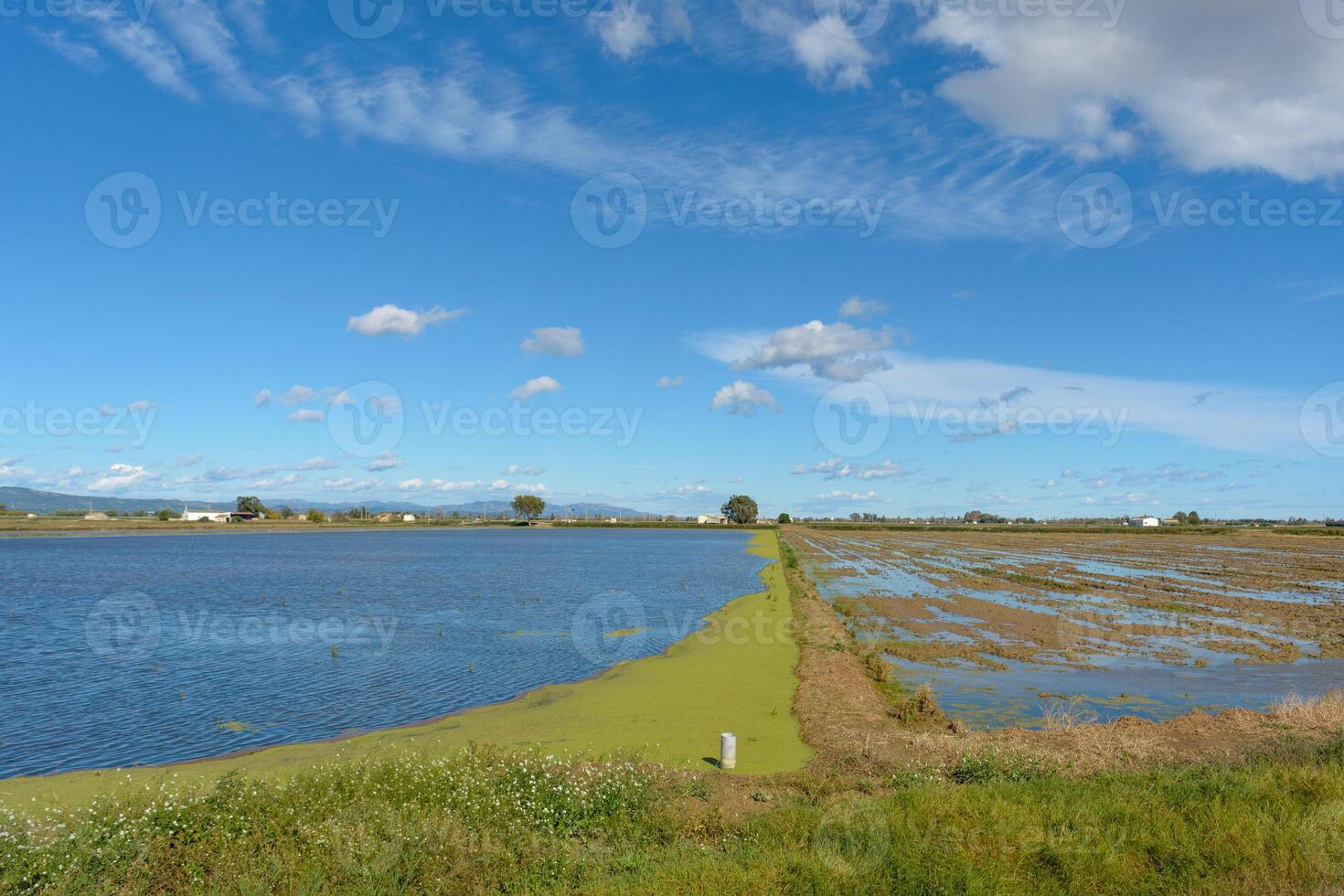 calma rural paisaje con un inundado campo debajo un azul cielo con mullido nubes, ebro delta, tarragona, Cataluña, España foto