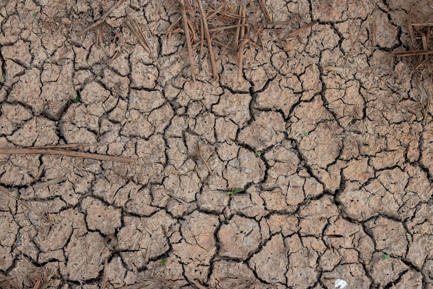 Arid land, cracking. Concept of environmental preservation and global warming photo