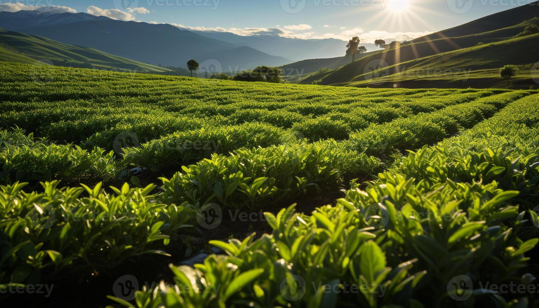 AI generated Green meadow, mountain range, sunrise, tranquil scene, organic generated by AI photo