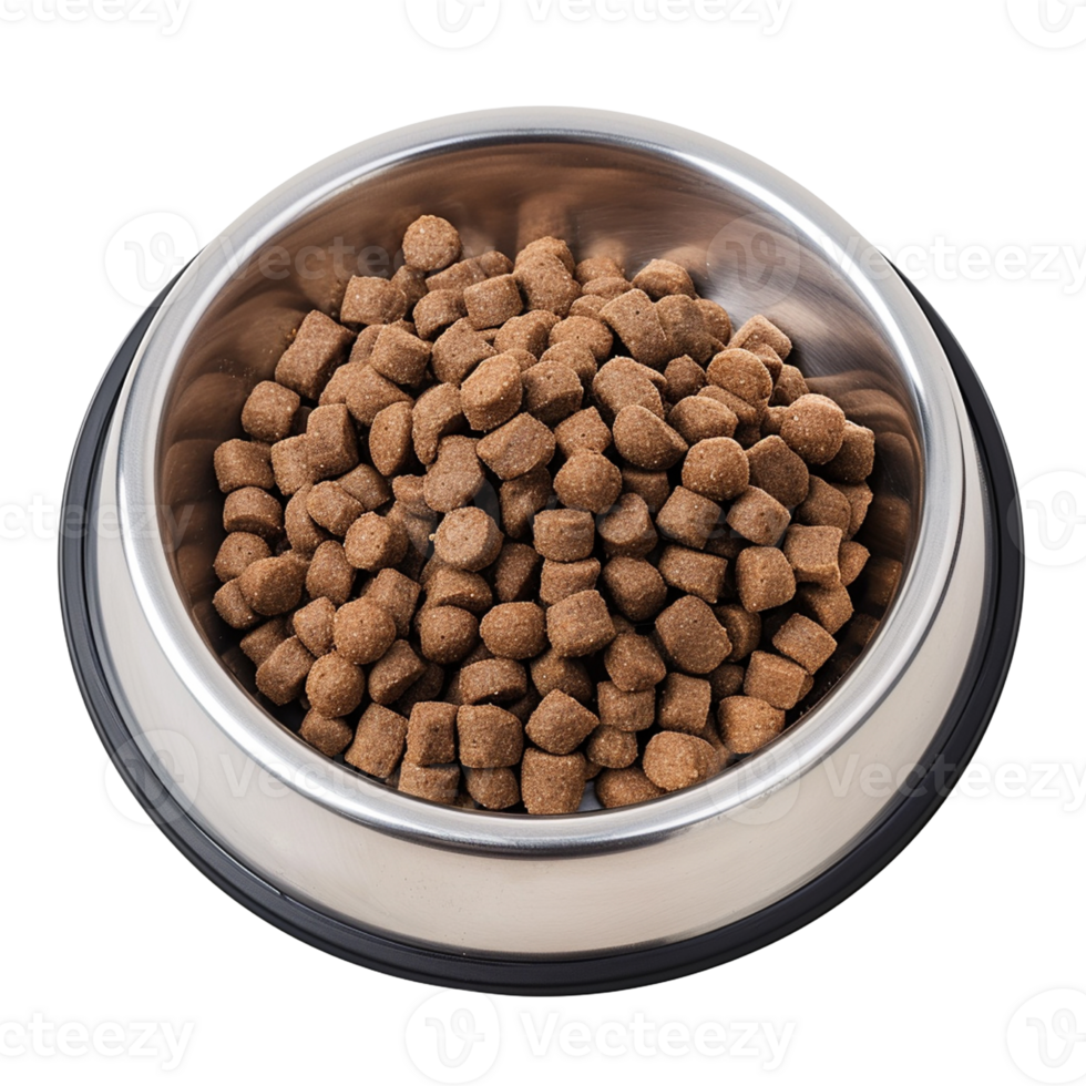 AI generated Dog Food in Stainless Steel Bowl isolated on transparent background, png