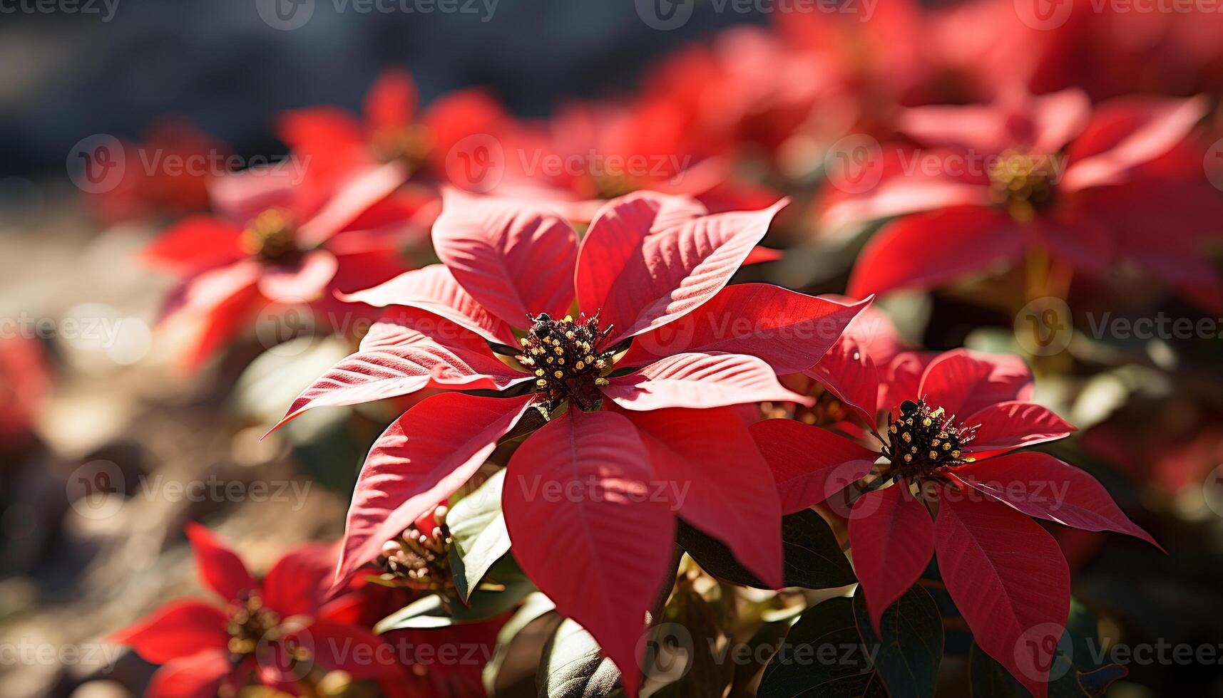 AI generated Close up of a vibrant, multi colored flower in nature generated by AI photo