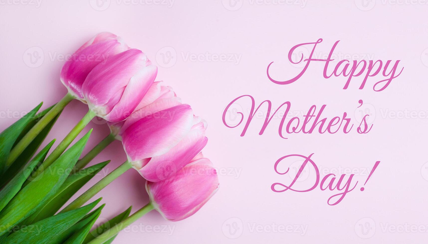 Postcard for Mother's Day. Bouquets pink tulips on pink background. Greeting card. Banner. Close-up. Top view. photo