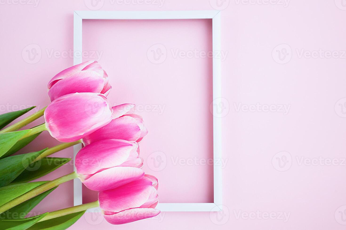 Beautiful bouquet of pink tulips and white vertical frame on pink background. Flatlay. Close-up. Top view. Copy space. photo