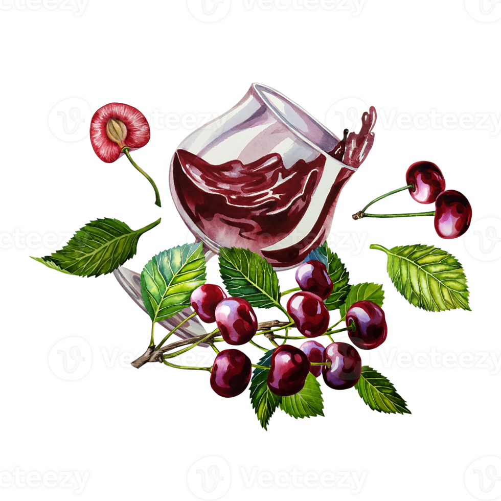 A glass of cherry juice. Ripe and juicy cherries. A hand-drawn watercolor illustration. For the design of labels, packaging and banners. For textiles, prints and stickers. For menus, invitation cards. png
