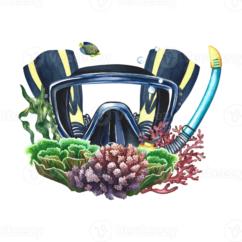 diversos equipo. diversos máscara con aletas, tubo respirador y corales dibujado a mano en acuarela. submarino viaje. para el diseño de etiquetas, postales y pancartas, folletos y folleto. para imprimir, pegatina png