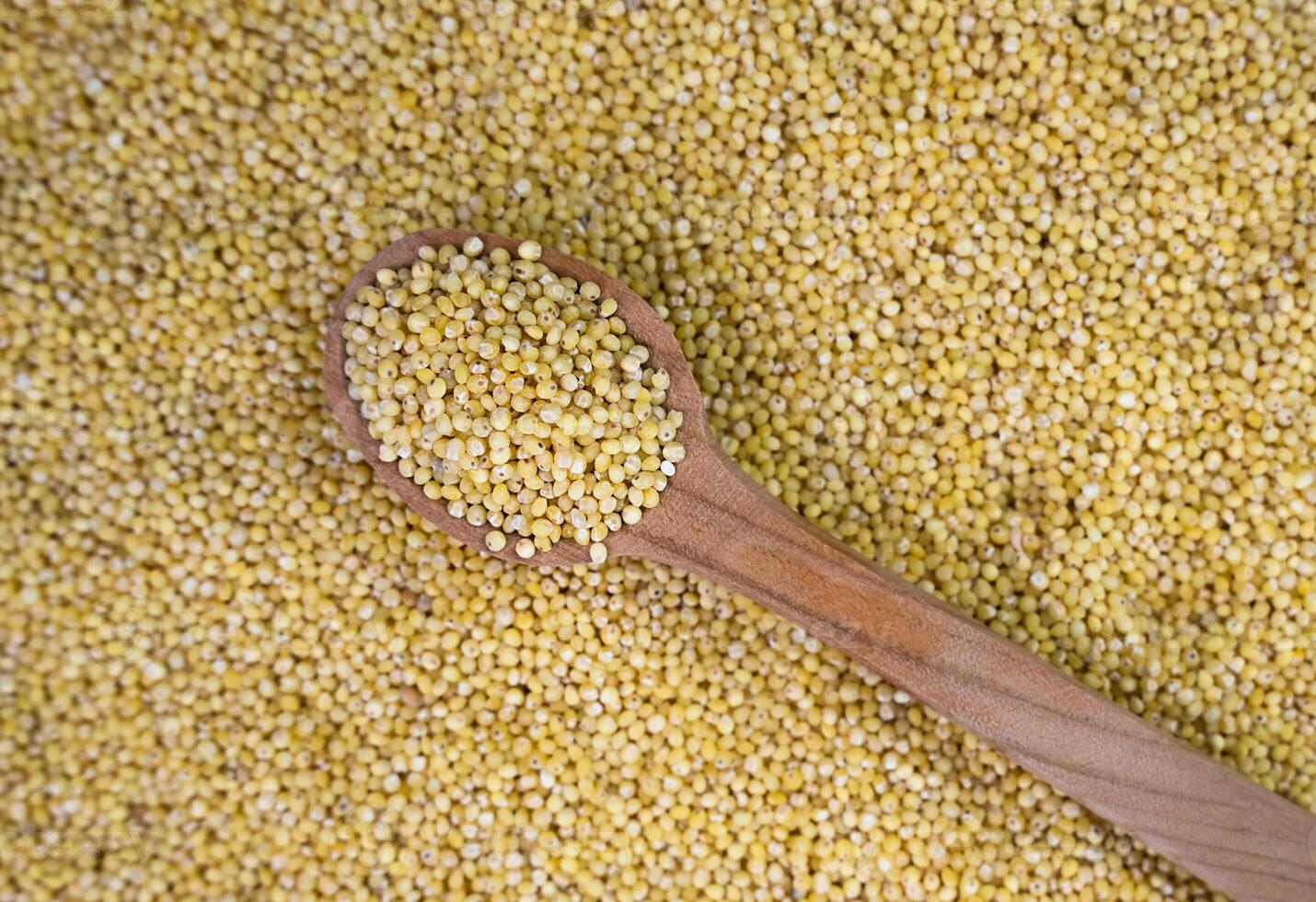 Millet groats in a wooden spoon on scattered grains of millet. Banner. Top view. Close-up. Selective focus. photo