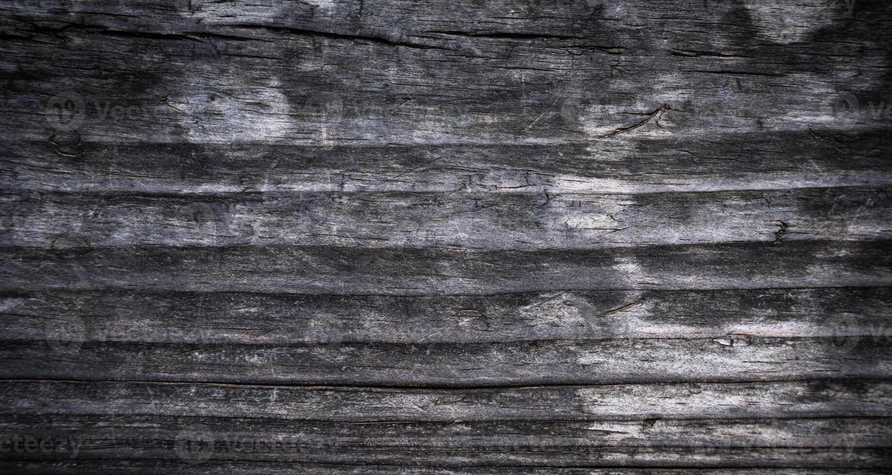 Texture of natural old wood. Close-up. Selective focus. photo