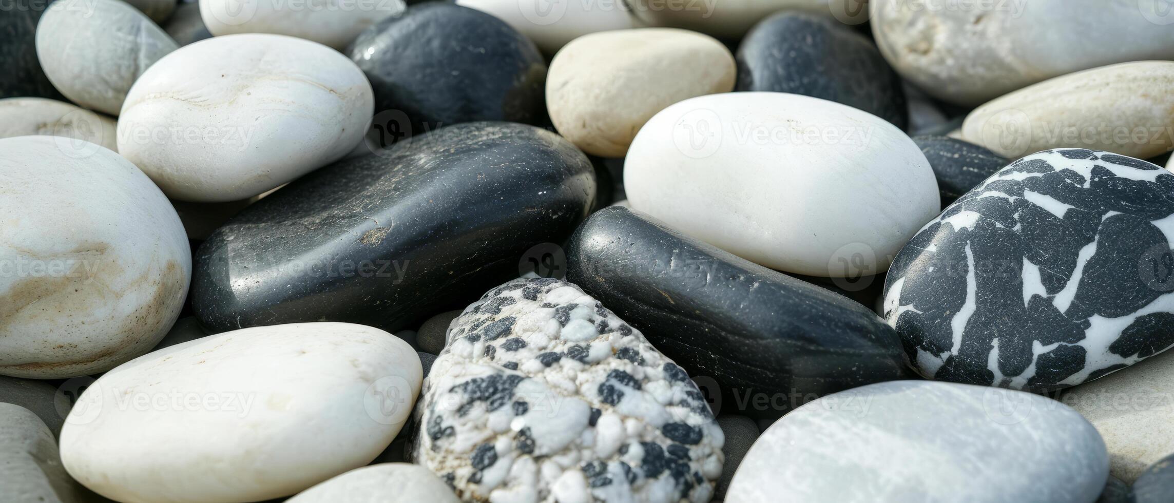 AI generated A diverse array of black and white pebbles bathed in natural sunlight photo