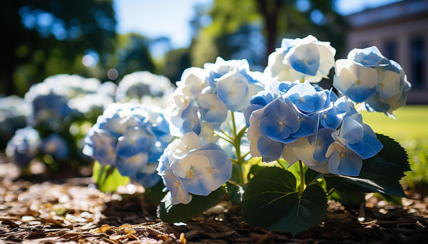 AI generated Freshness of nature beauty in vibrant colored flowers generated by AI photo