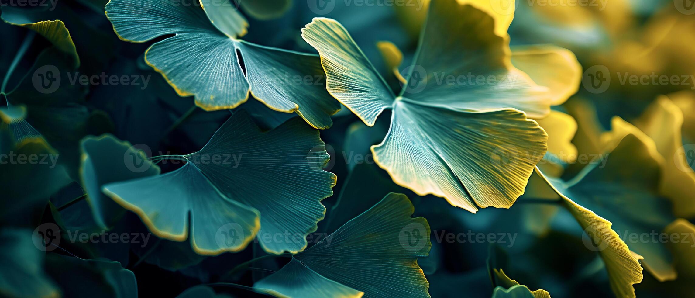 AI generated Ginkgo Biloba leaves adorned with dewdrops, basking in soft, dappled sunlight photo