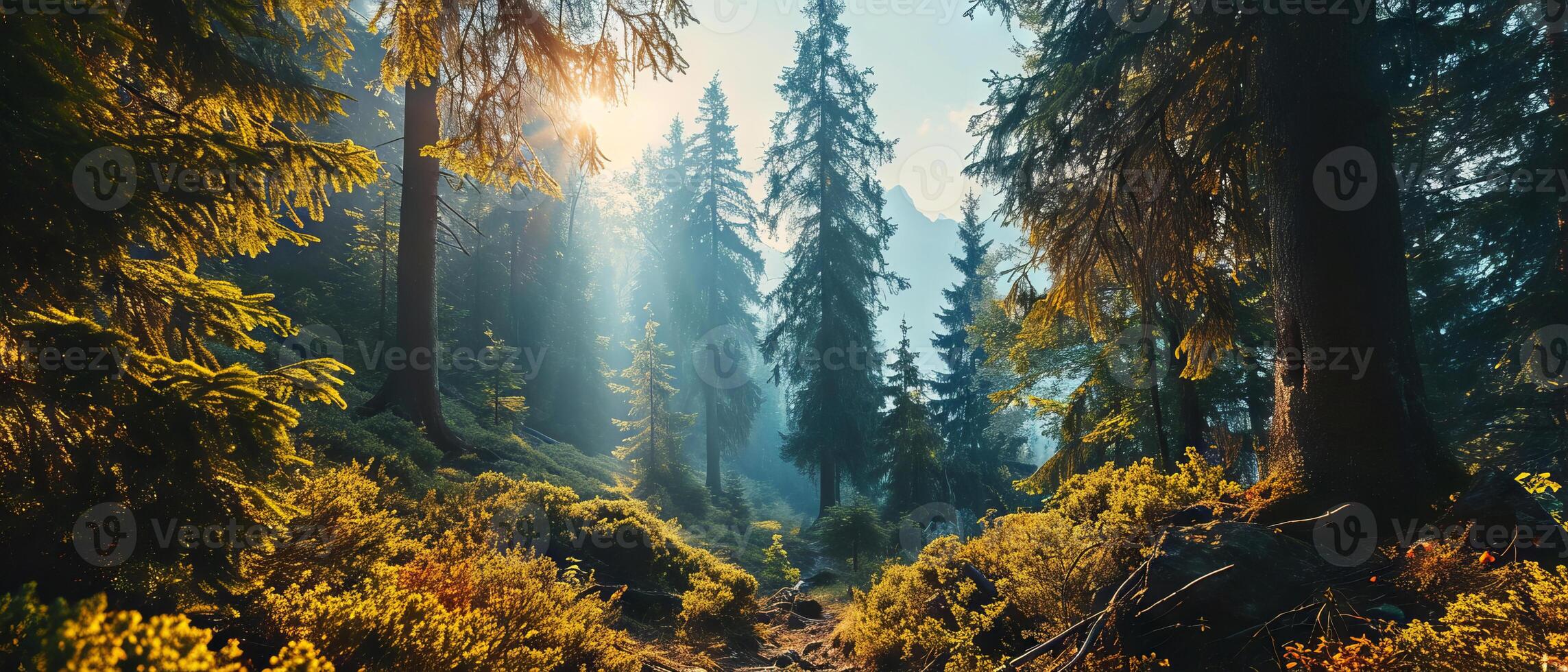 AI generated Sunlight filters through the pines on a serene forest path photo