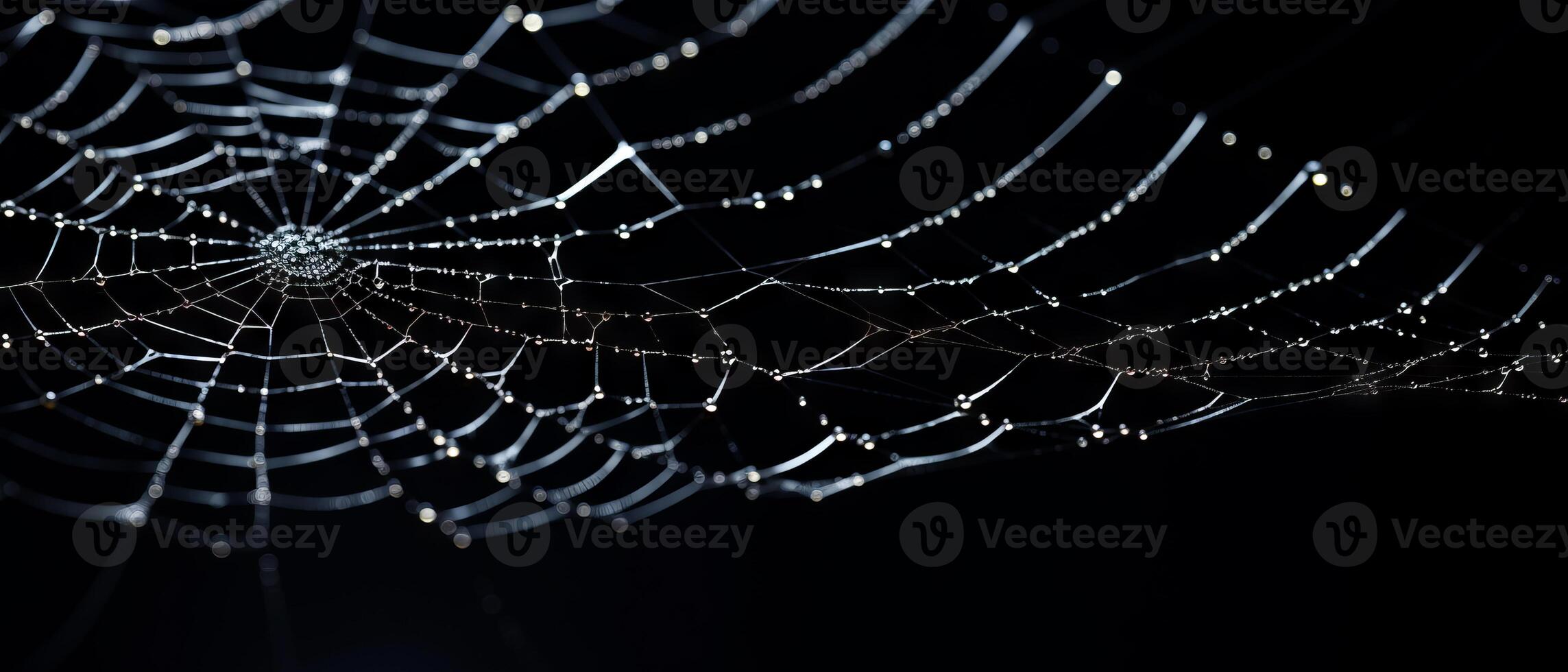 AI generated Dewy Spider Web on Dark Background photo