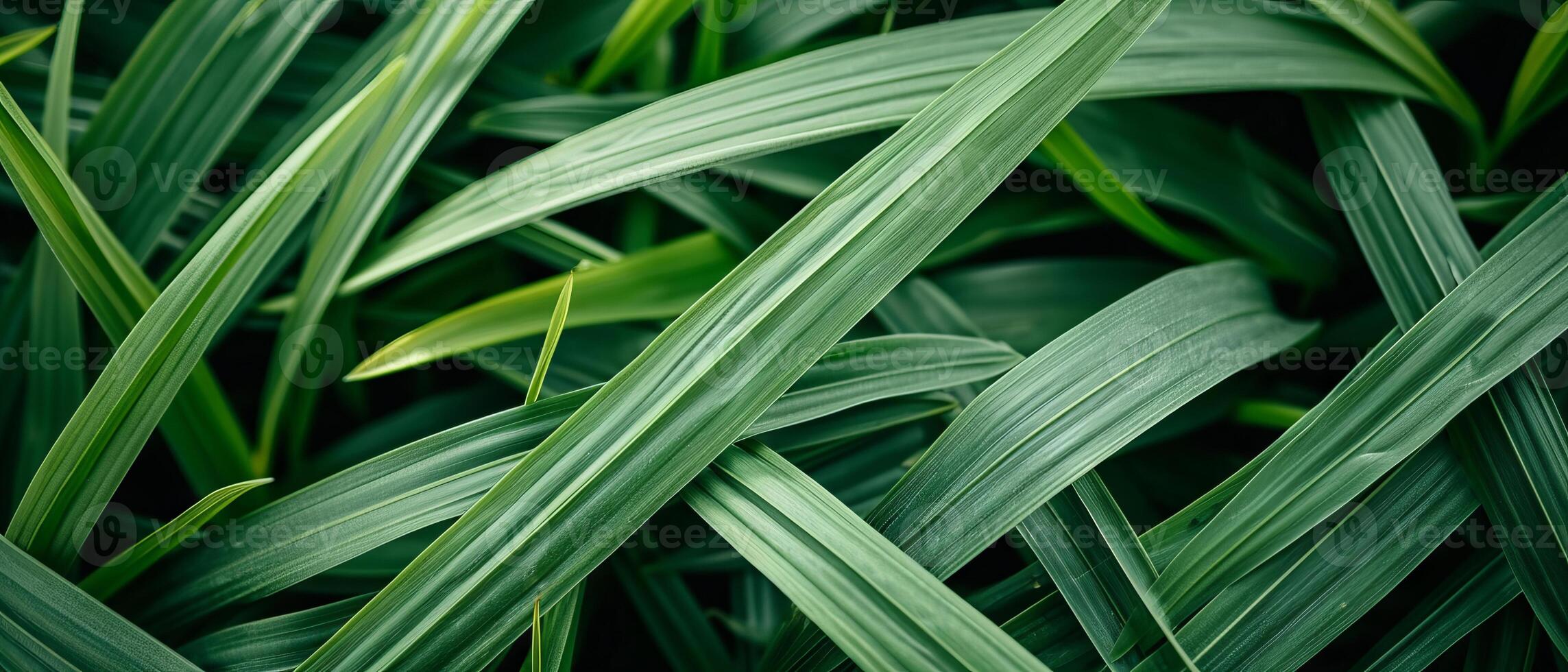 AI generated Close-up of fresh green narrow leaves, creating a textured photo