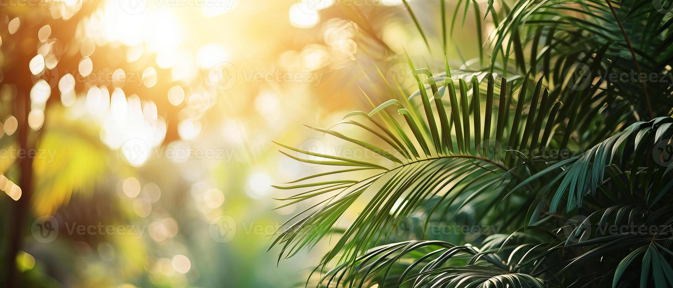 AI generated Sunbeams filter through vibrant green palm leaves photo