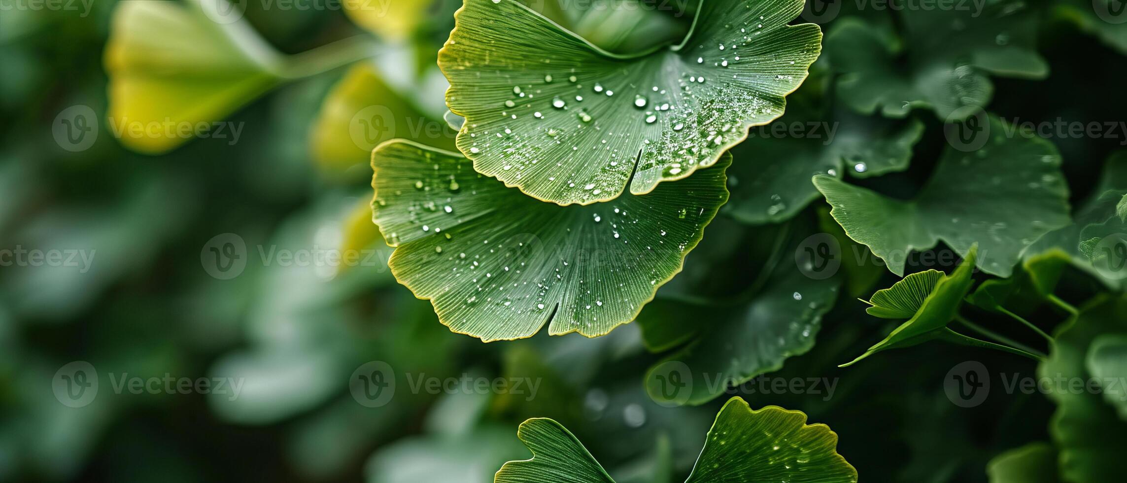 AI generated Vibrant Ginkgo Biloba leaves in varying shades of green create a lush and textured canop photo