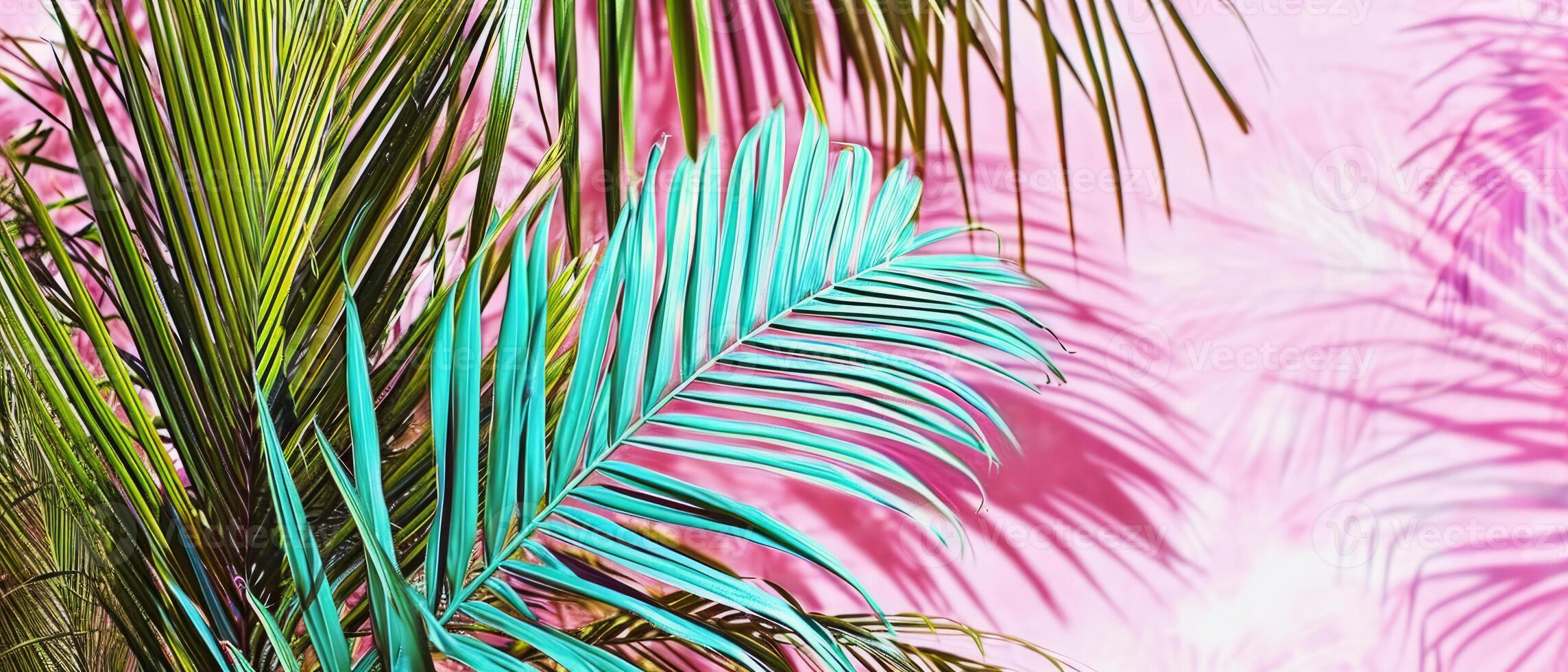 AI generated Lush tropical palm leaves with teal and natural green tones set against a vivid pink background photo