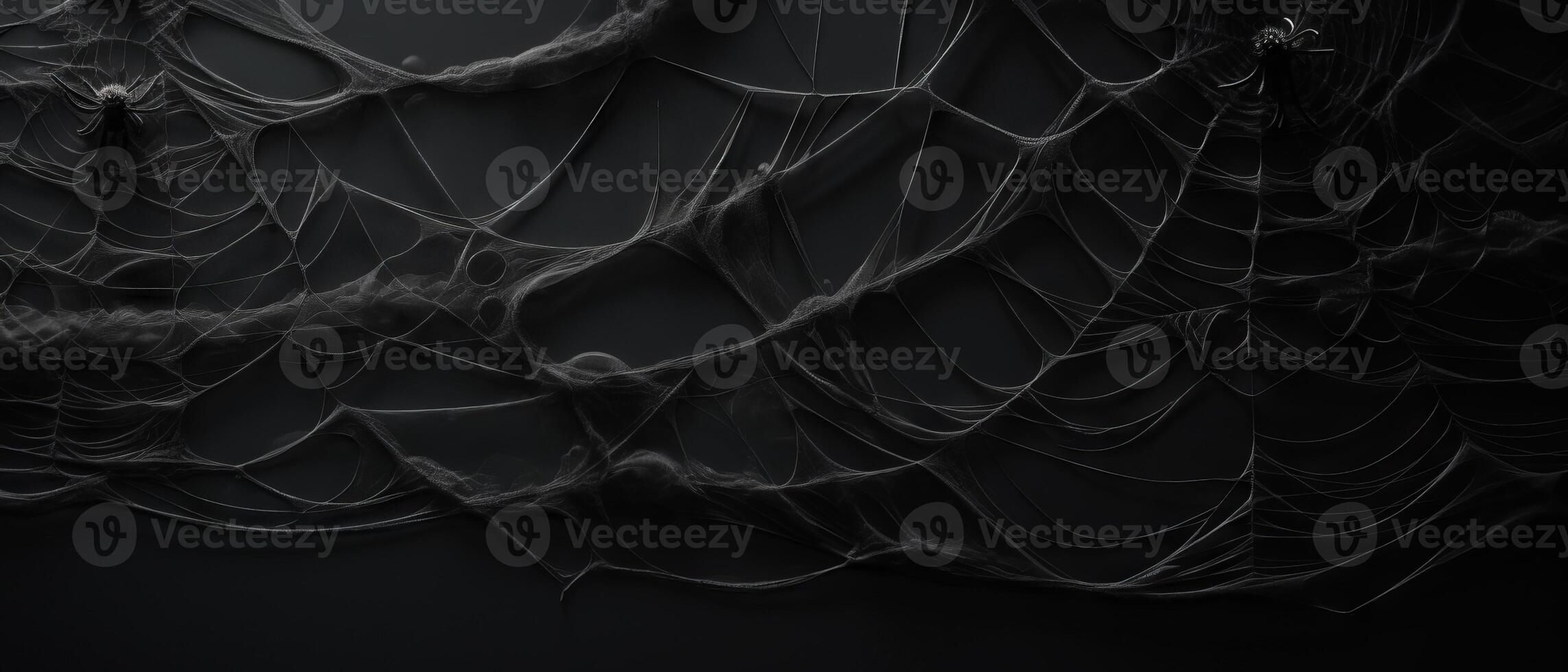 AI generated Spider on Intricate Web Against Black photo