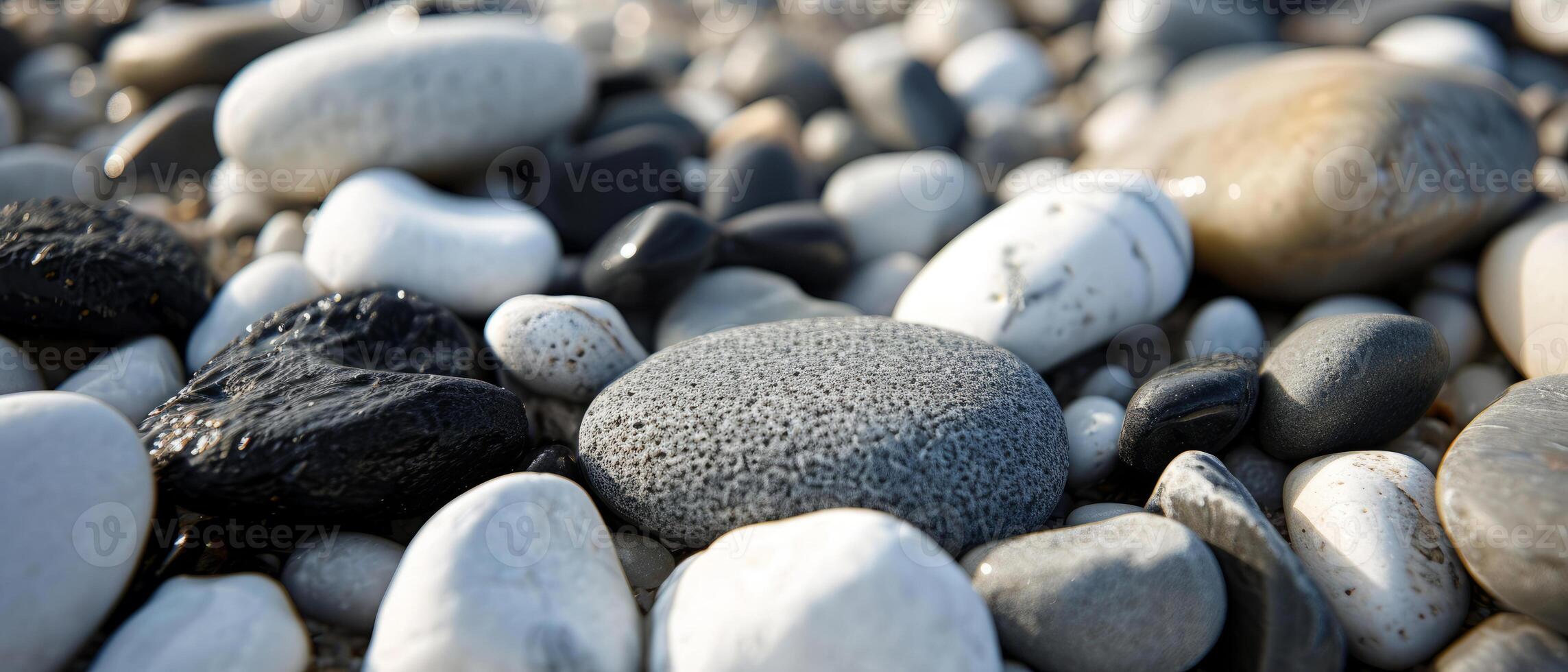 AI generated A diverse array of black and white pebbles bathed in natural sunlight photo