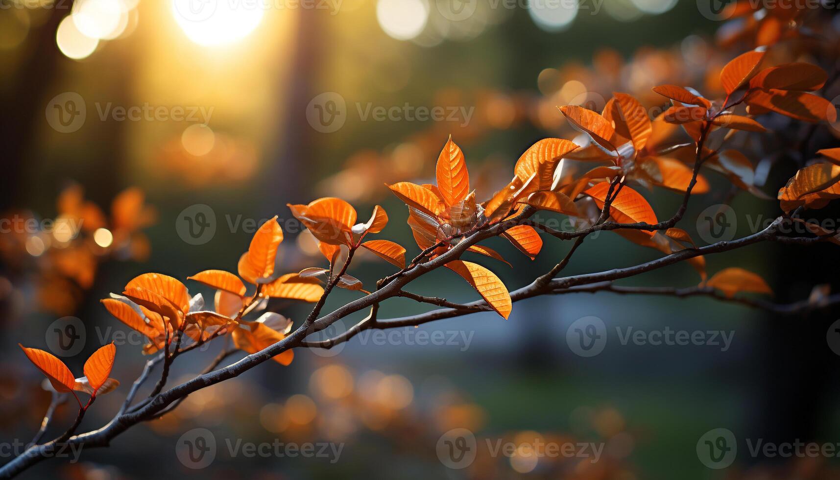 AI generated Vibrant autumn tree leaves illuminate the tranquil forest generated by AI photo