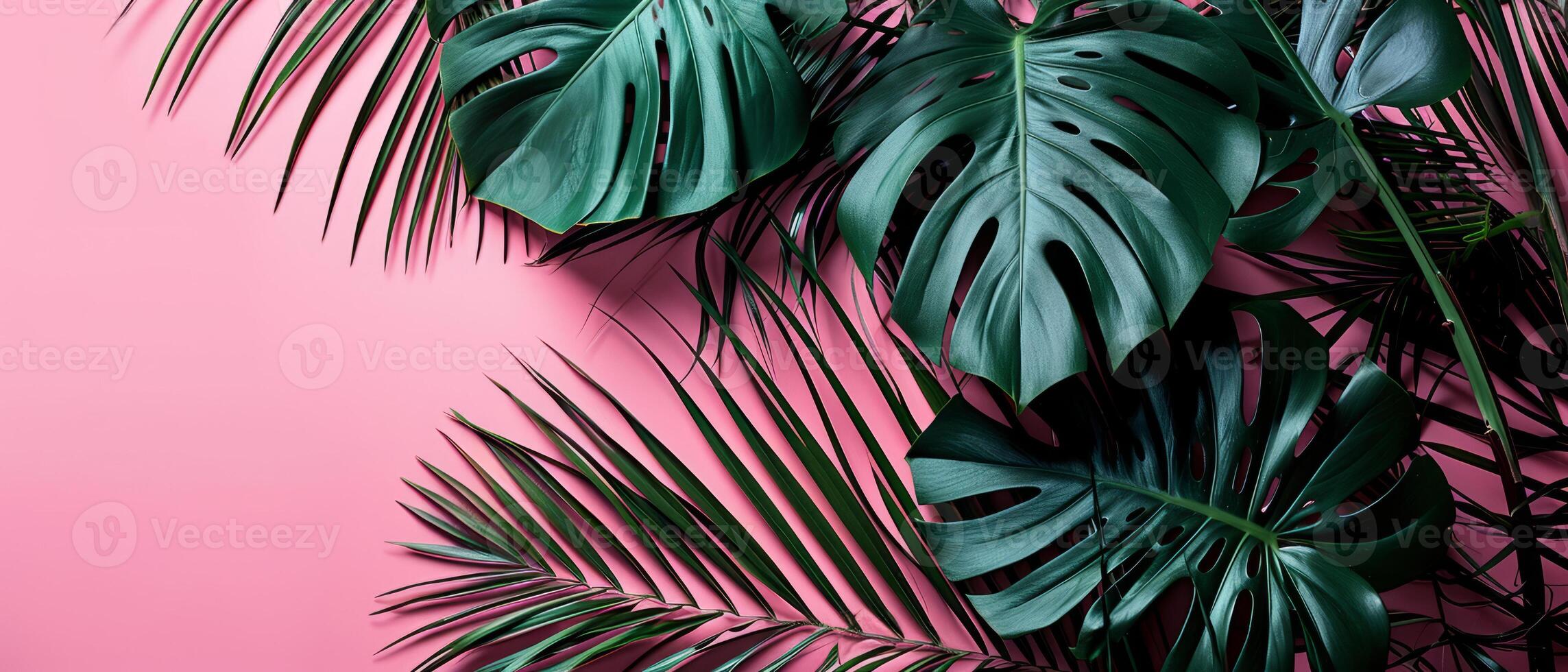 AI generated Lush green tropical leaves casting shadows on a pink background, showcasing natural patterns photo