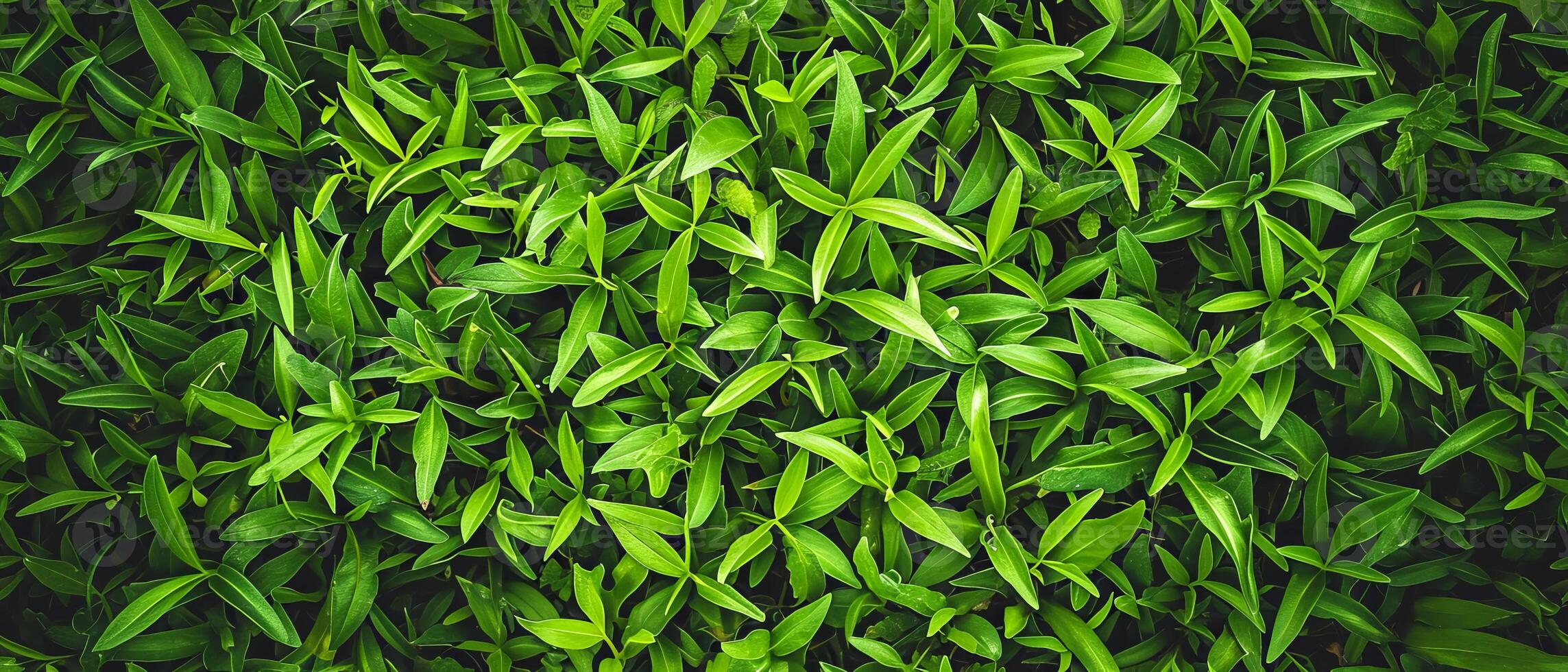 AI generated Close-up of dense green grass with a variety of leaf shapes photo
