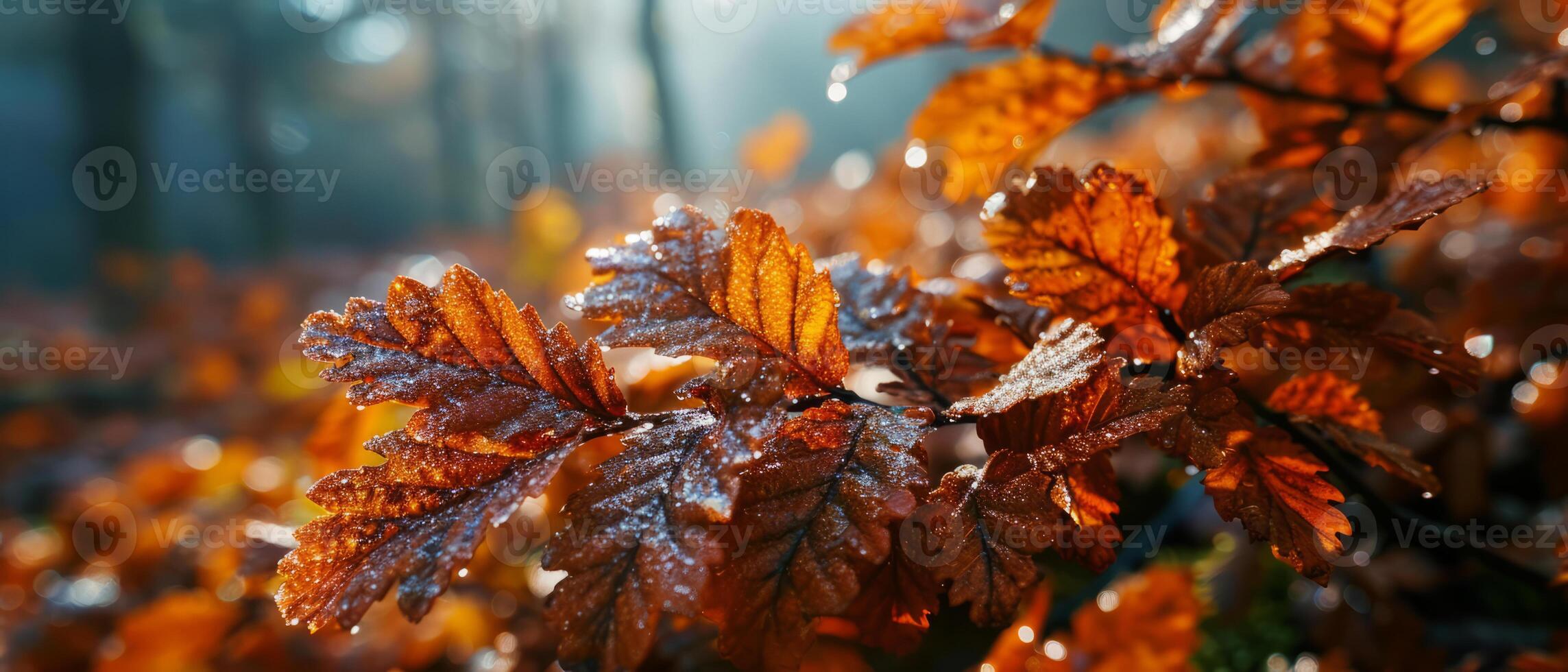 AI generated Autumn leaves glow in the soft golden light of the setting sun photo