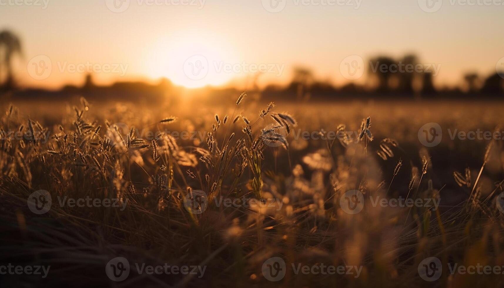 AI generated Sunset over a meadow, nature beauty in vibrant colors generated by AI photo