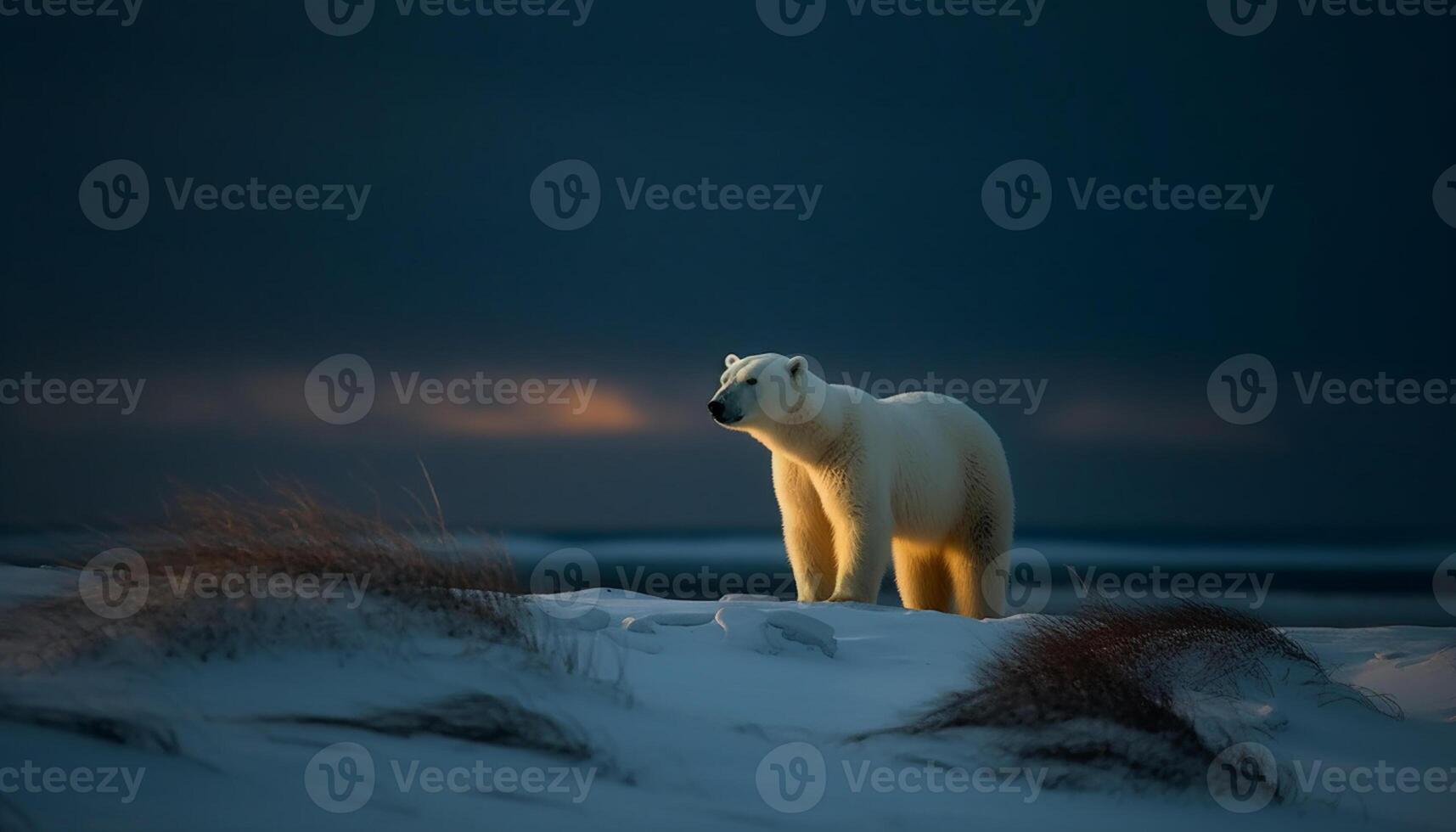 AI generated Cute arctic mammal standing on ice, looking at camera generated by AI photo