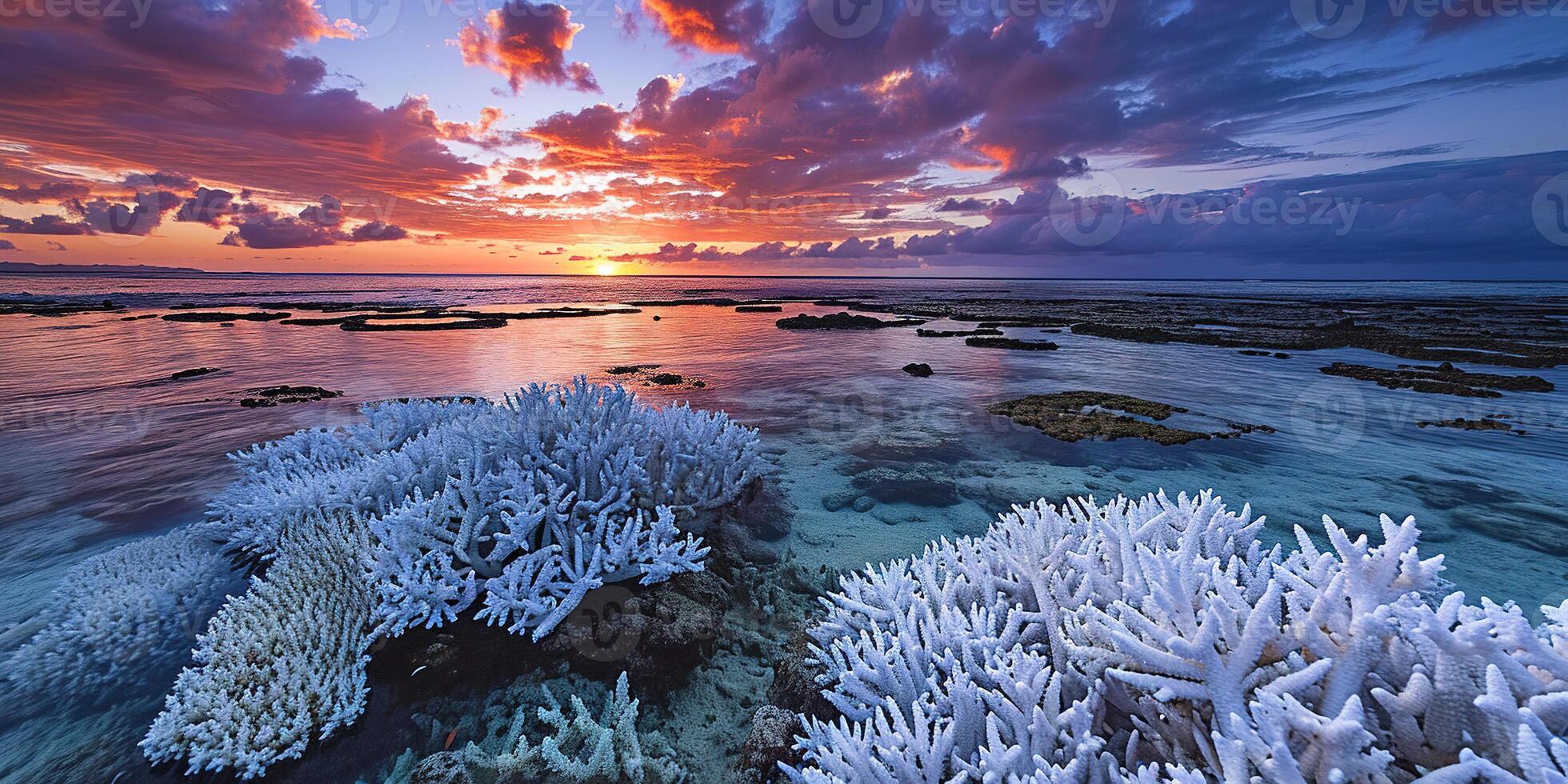 AI generated Dead white coral reef in the sunset landscape. Marine ecosystem, global warming, environmental issues concept photo