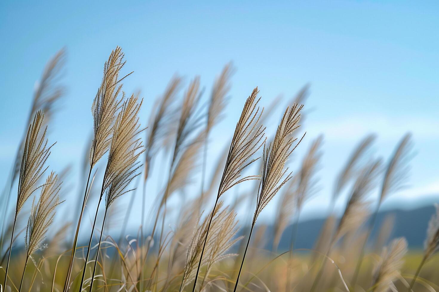 AI generated a bunch of tall grass blowing in the wind photo