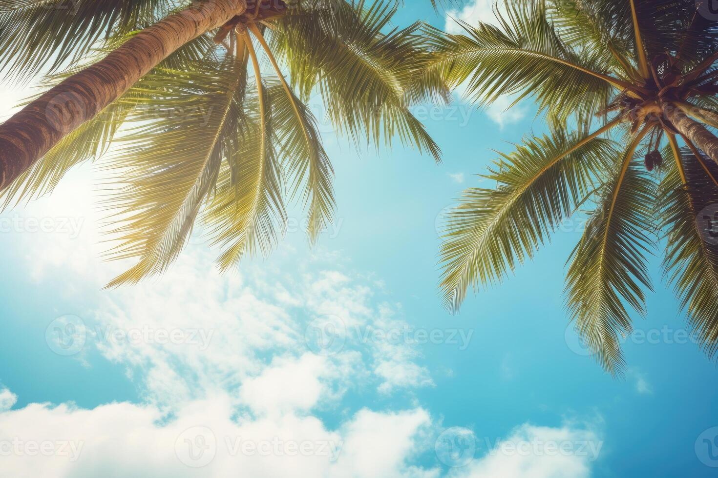 AI generated Blue sky and palm trees view from below, vintage style, tropical beach and summer background, travel concept photo