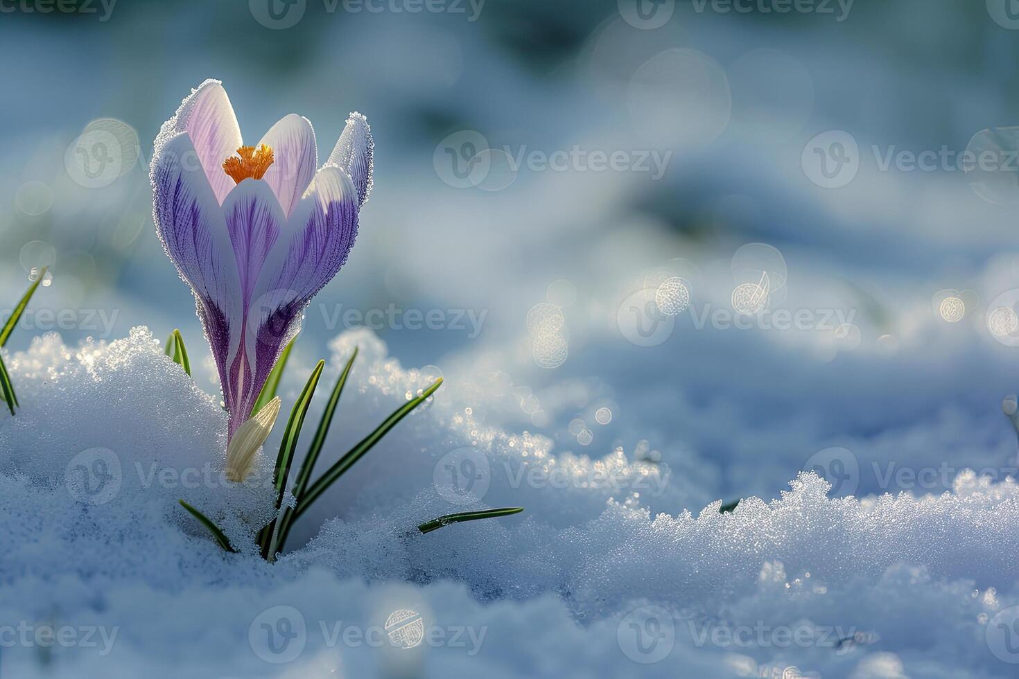 AI generated Crocus in the snow photo