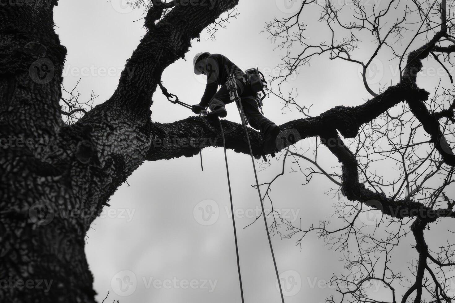 AI generated Arborist working at height in tree. photo