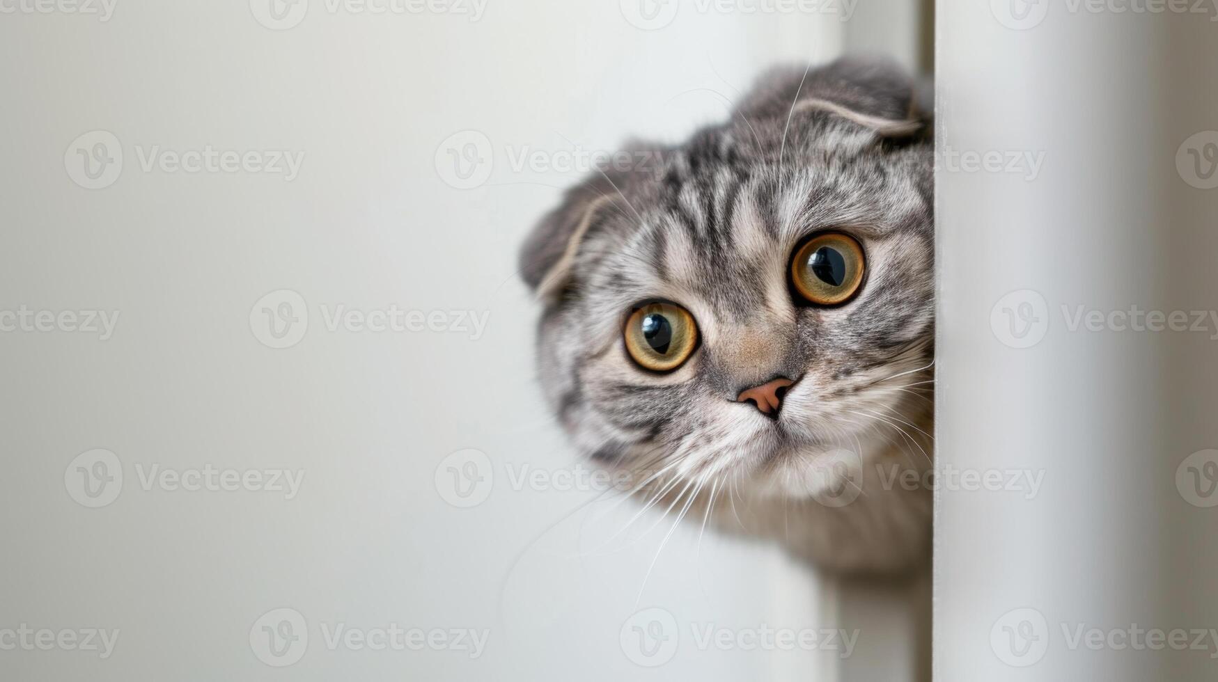 AI generated Scottish Fold car peeking around corner 3 photo
