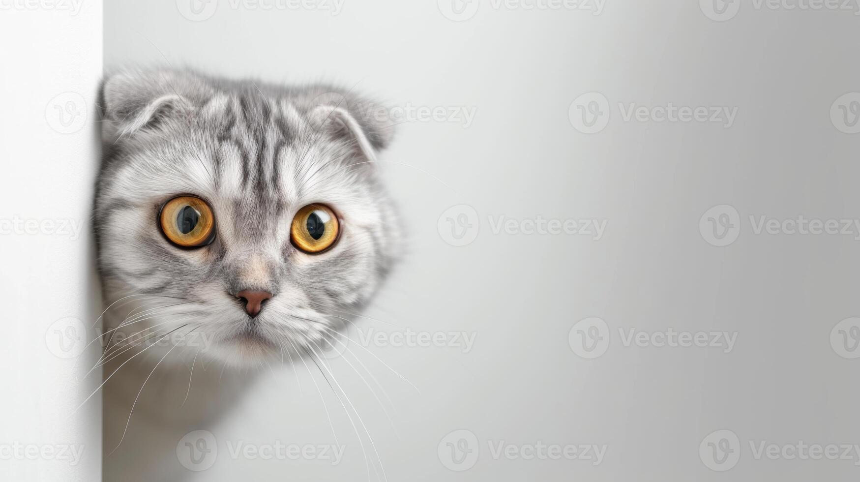AI generated Scottish Fold car peeking around corner photo