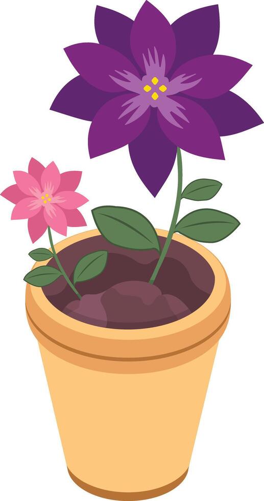 A Potted Plant with Vibrant Purple and Pink Flowers vector