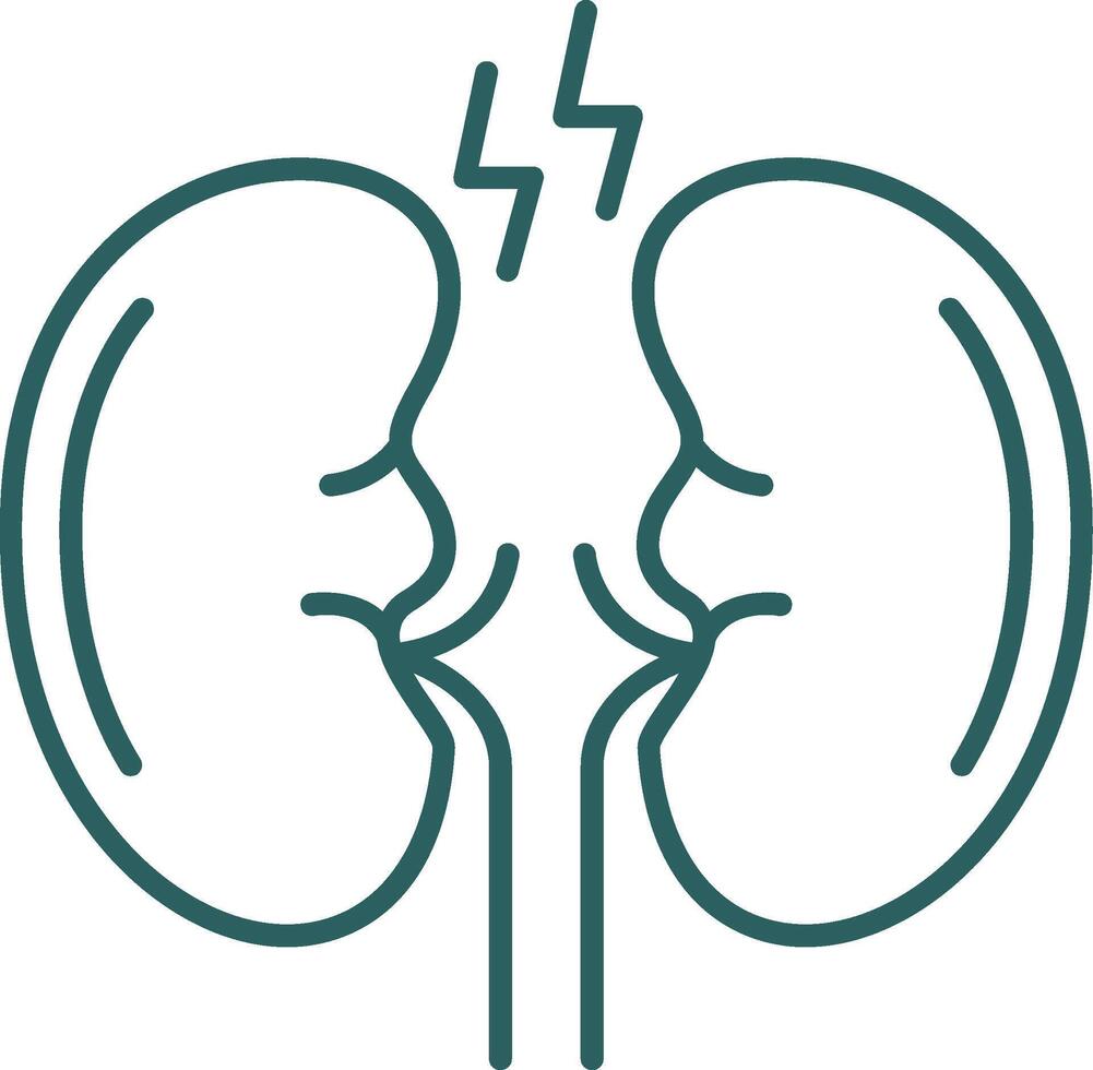 Kidney Line Gradient Icon vector