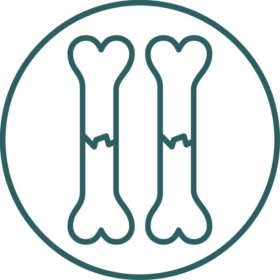 Bone Line Gradient Icon vector