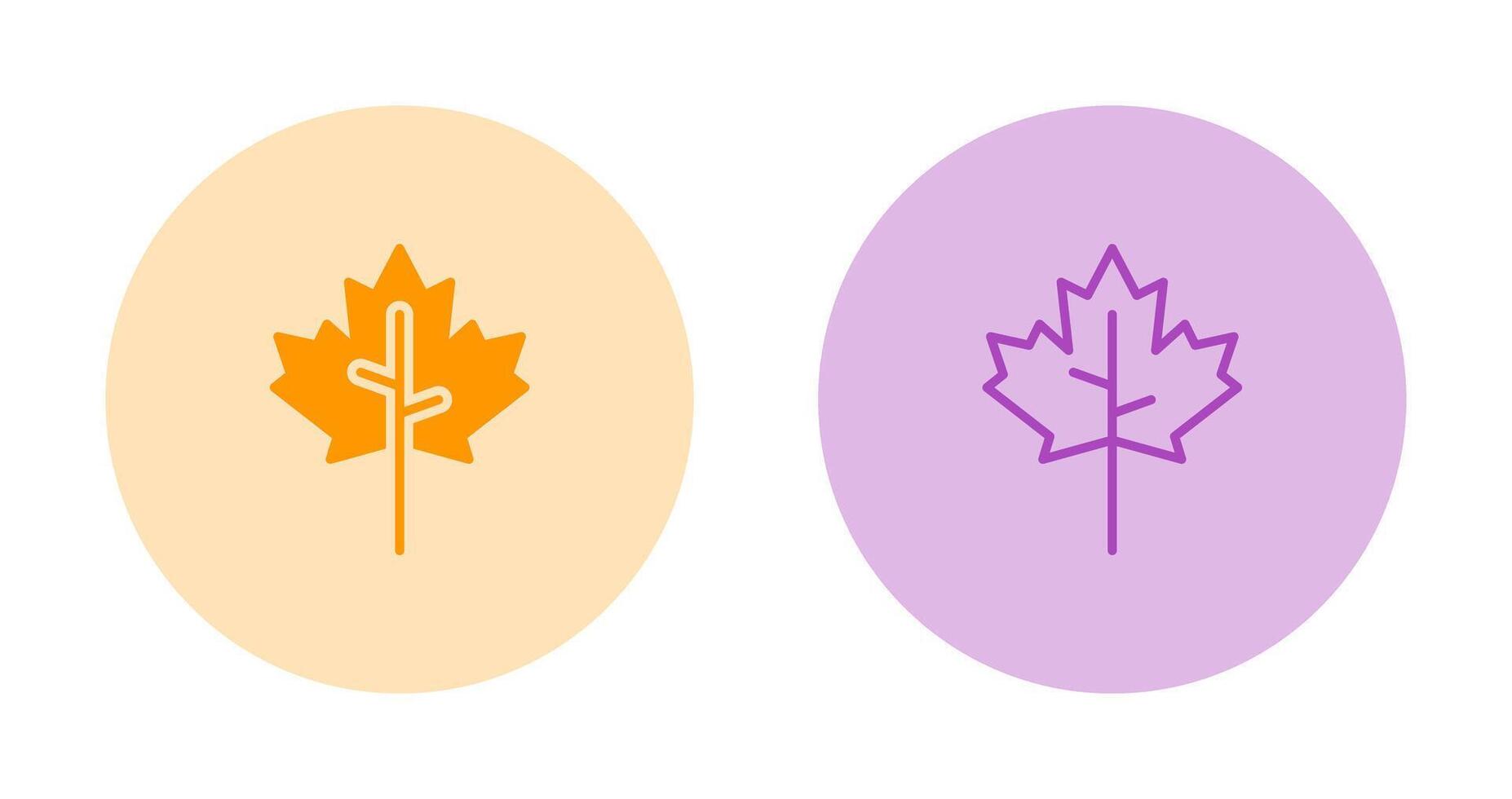 Maple leaf Vector Icon