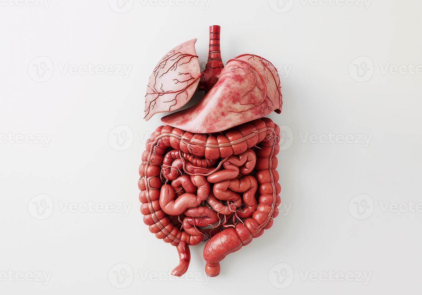 ai generado humano cuerpo es mostrado en un 3d ilustración foto