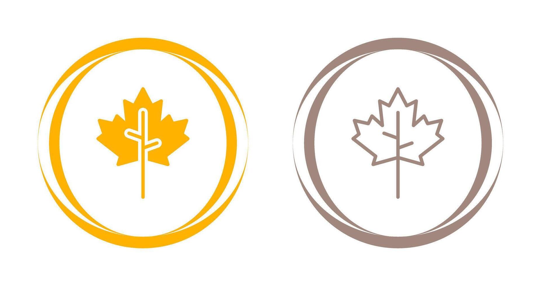 Maple leaf Vector Icon