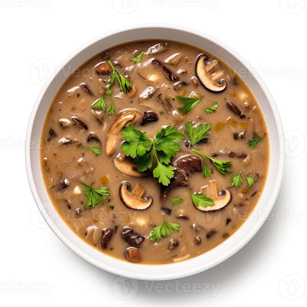 AI generated Turtle soup closeup isolated on white background photo