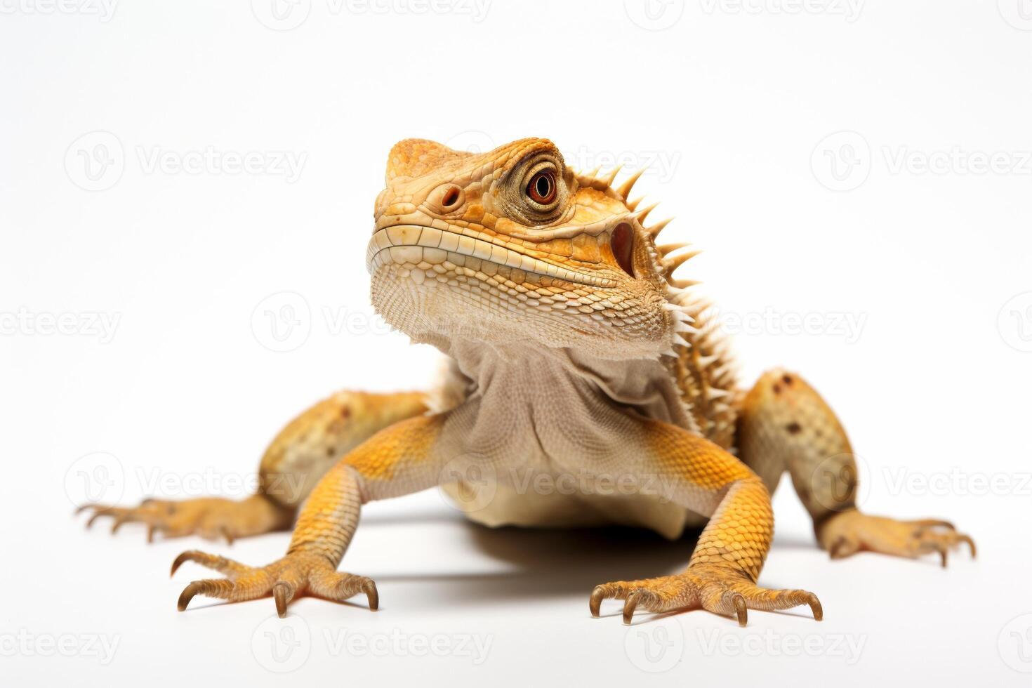 AI generated lizard isolated on a white background photo