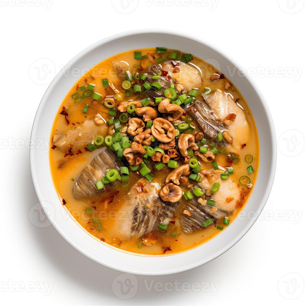 AI generated Turtle soup closeup isolated on white background photo