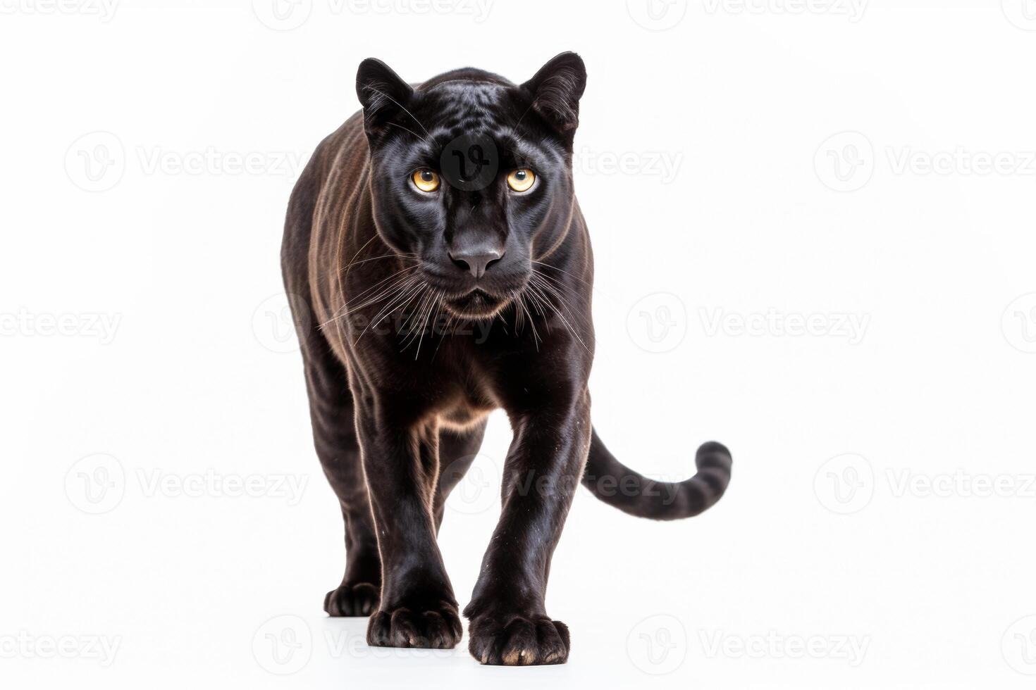 AI generated Black panther clipart photo